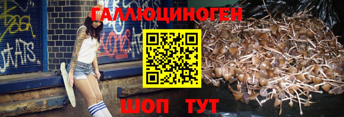 купить наркотик  Вход с VPN  Зеленокумск  Псилоцибиновые грибы MAGIC MUSHROOMS 